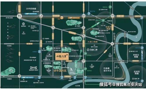 面馆爆料重庆最新消息新闻,揭秘山城美食新趋势