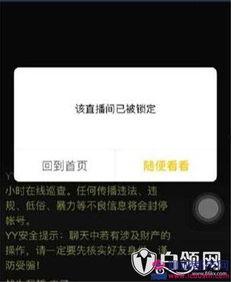 雪茄哥最新爆料视频播放,揭秘视频背后的惊人真相！