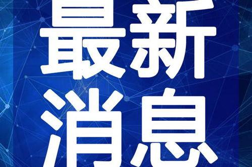 蜀国春酒厂爆料视频最新,独家爆料带你走进传统酿酒工艺的世界
